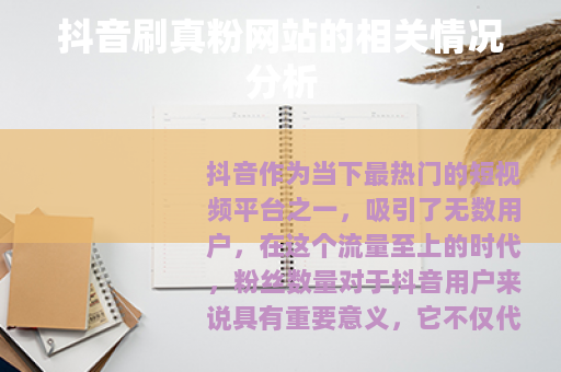 抖音刷真粉网站的相关情况分析