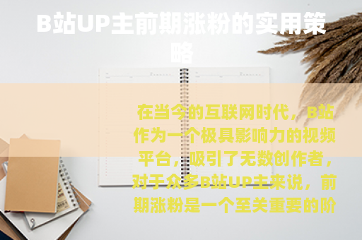 B站UP主前期涨粉的实用策略