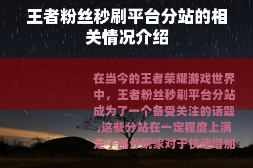 王者粉丝秒刷平台分站的相关情况介绍