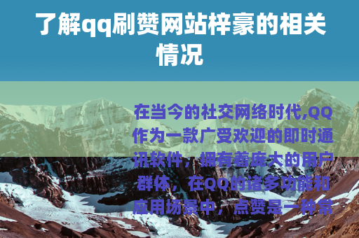 了解qq刷赞网站梓豪的相关情况