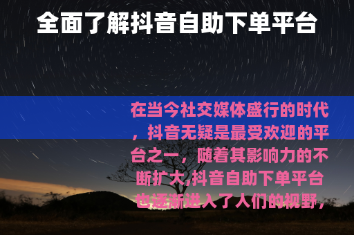 全面了解抖音自助下单平台