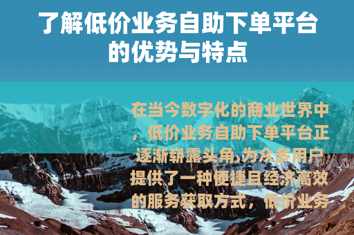 了解低价业务自助下单平台的优势与特点