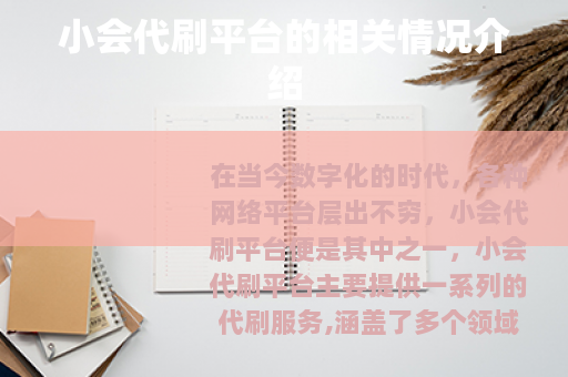 小会代刷平台的相关情况介绍