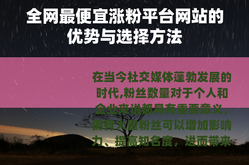全网最便宜涨粉平台网站的优势与选择方法