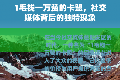 1毛钱一万赞的卡盟，社交媒体背后的独特现象