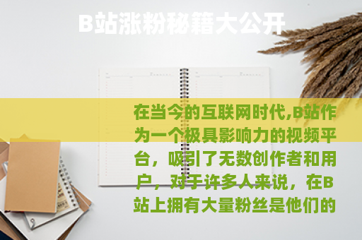 B站涨粉秘籍大公开