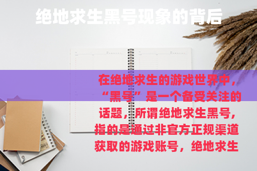 绝地求生黑号现象的背后