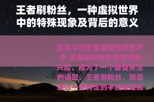 王者刷粉丝，一种虚拟世界中的特殊现象及背后的意义