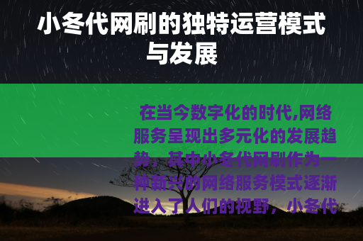 小冬代网刷的独特运营模式与发展