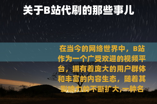 关于B站代刷的那些事儿