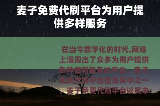 麦子免费代刷平台为用户提供多样服务