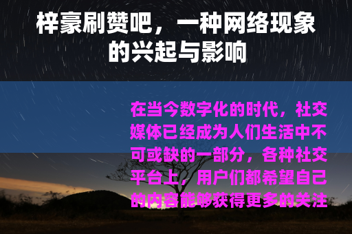 梓豪刷赞吧，一种网络现象的兴起与影响