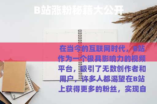 B站涨粉秘籍大公开