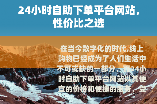 24小时自助下单平台网站，性价比之选