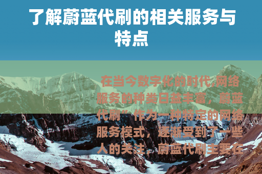 了解蔚蓝代刷的相关服务与特点