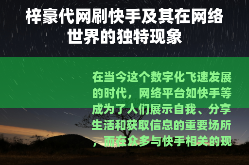 梓豪代网刷快手及其在网络世界的独特现象
