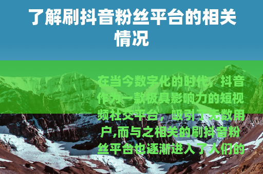 了解刷抖音粉丝平台的相关情况