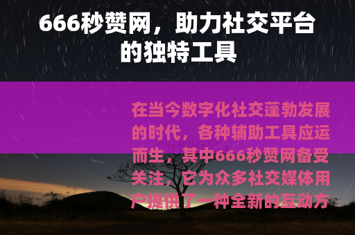 666秒赞网，助力社交平台的独特工具