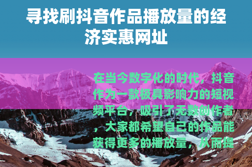 寻找刷抖音作品播放量的经济实惠网址