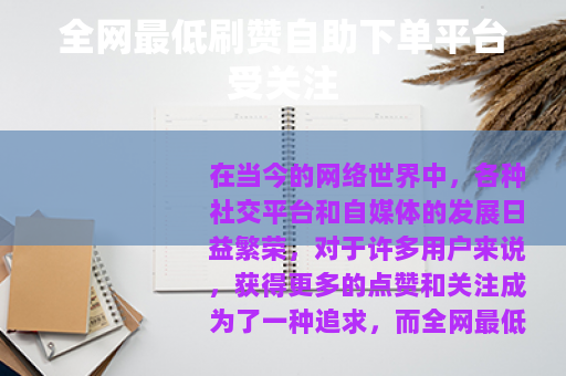 全网最低刷赞自助下单平台受关注