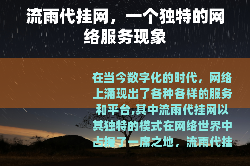 流雨代挂网，一个独特的网络服务现象