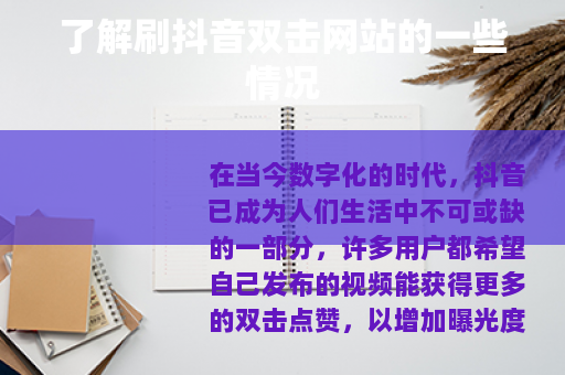 了解刷抖音双击网站的一些情况