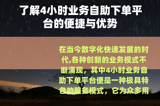 了解4小时业务自助下单平台的便捷与优势
