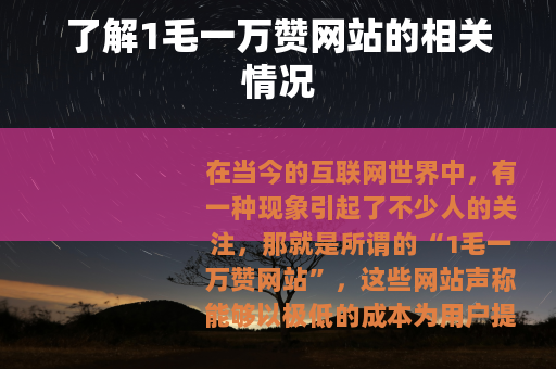 了解1毛一万赞网站的相关情况