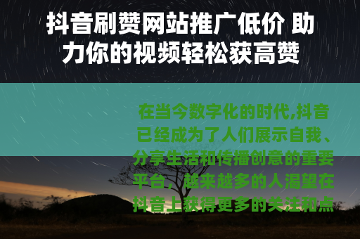 抖音刷赞网站推广低价 助力你的视频轻松获高赞