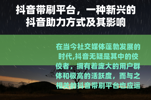 抖音带刷平台，一种新兴的抖音助力方式及其影响