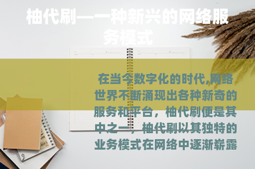 柚代刷—一种新兴的网络服务模式