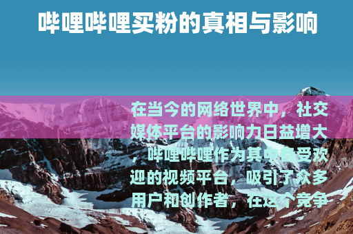 哔哩哔哩买粉的真相与影响