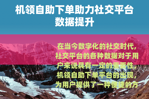 机领自助下单助力社交平台数据提升