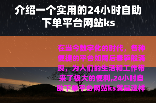 介绍一个实用的24小时自助下单平台网站ks