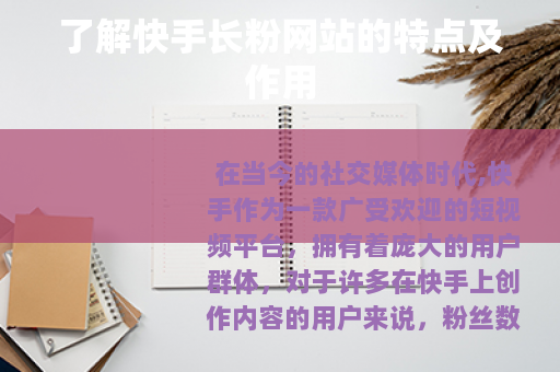 了解快手长粉网站的特点及作用