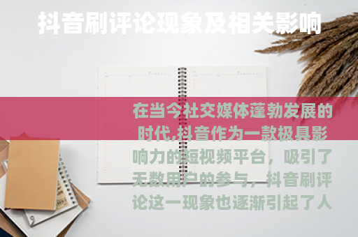 抖音刷评论现象及相关影响