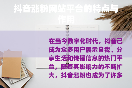 抖音涨粉网站平台的特点与作用