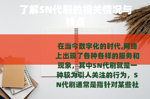 了解SN代刷的相关情况与特点