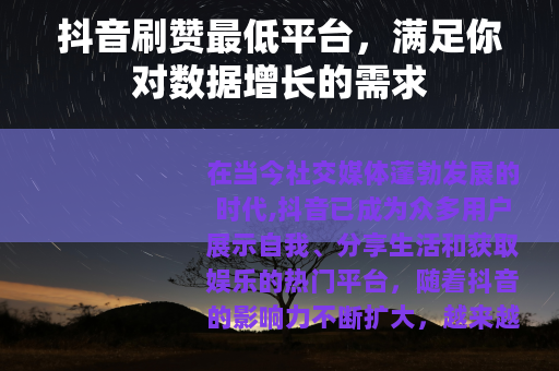 抖音刷赞最低平台，满足你对数据增长的需求