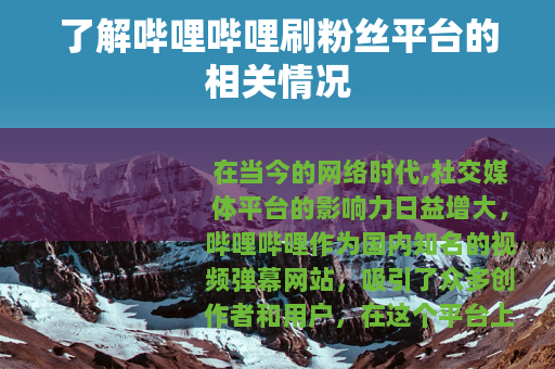 了解哔哩哔哩刷粉丝平台的相关情况