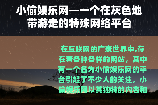 小偷娱乐网—一个在灰色地带游走的特殊网络平台