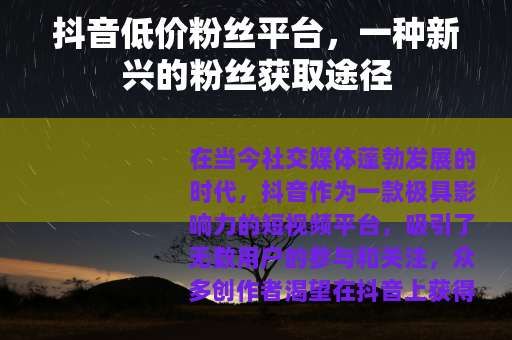 抖音低价粉丝平台，一种新兴的粉丝获取途径