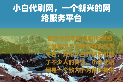 小白代刷网，一个新兴的网络服务平台