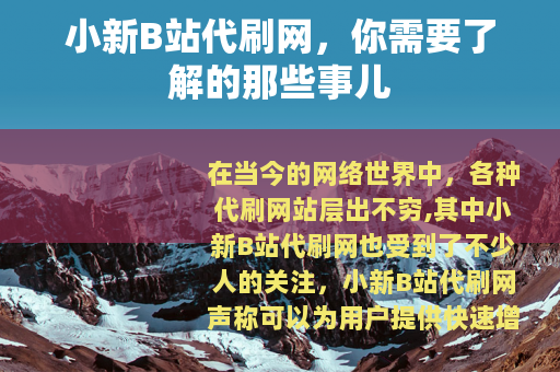 小新B站代刷网，你需要了解的那些事儿
