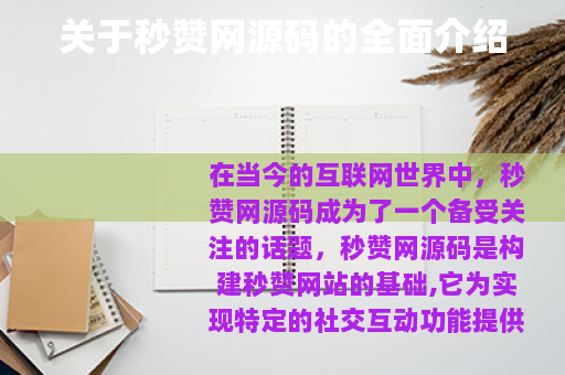 关于秒赞网源码的全面介绍