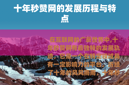十年秒赞网的发展历程与特点