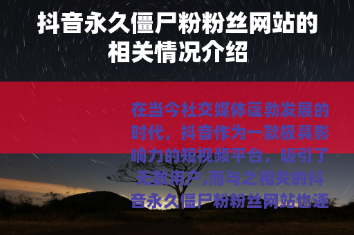 抖音永久僵尸粉粉丝网站的相关情况介绍