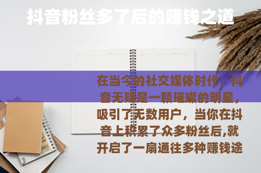 抖音粉丝多了后的赚钱之道