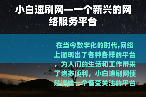小白速刷网—一个新兴的网络服务平台