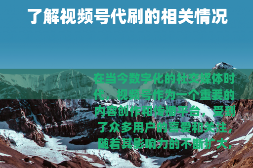 了解视频号代刷的相关情况